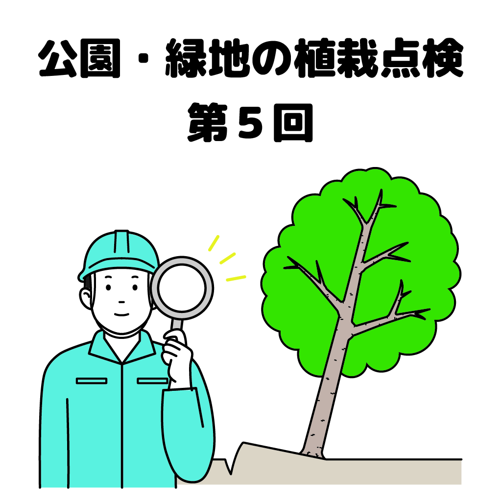 街の樹木NewsLetter Vol.17　3月号　公園・樹木の植栽点検シリーズ第5回－樹⽊の安全点検−倒⽊や落枝の危険を発⾒しよう！ その２−幹の揺れ・傾斜
